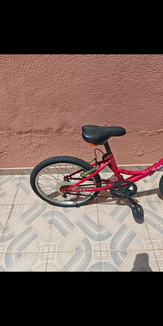 Bicicleta de roda 20