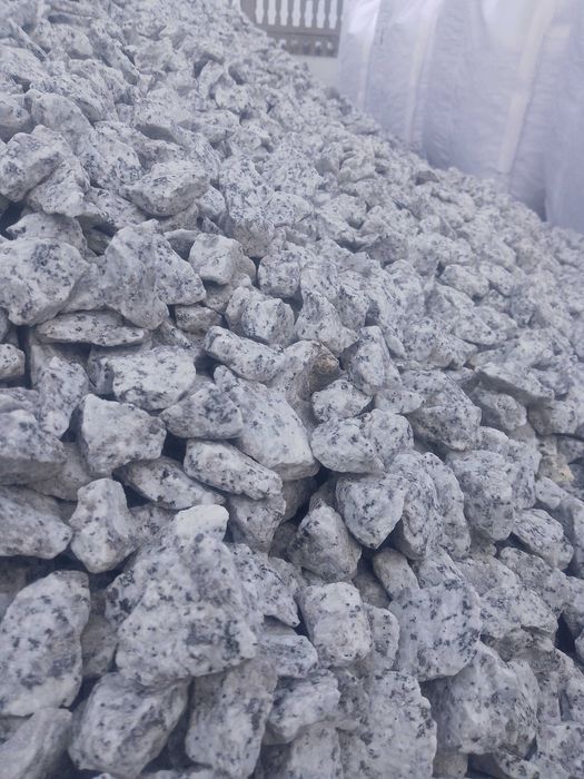 Kamień dalmatyńczyk