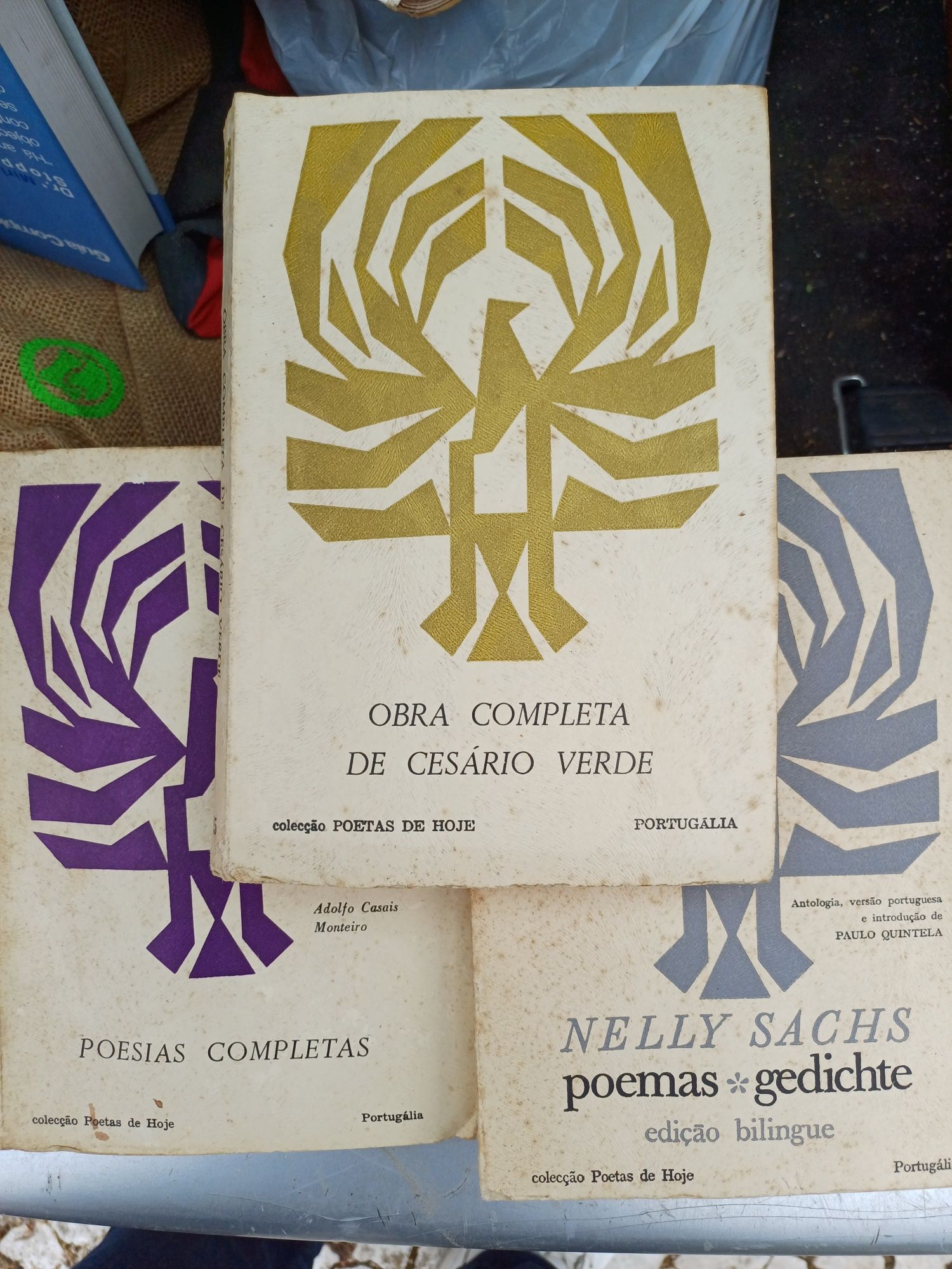 Livros de poesia