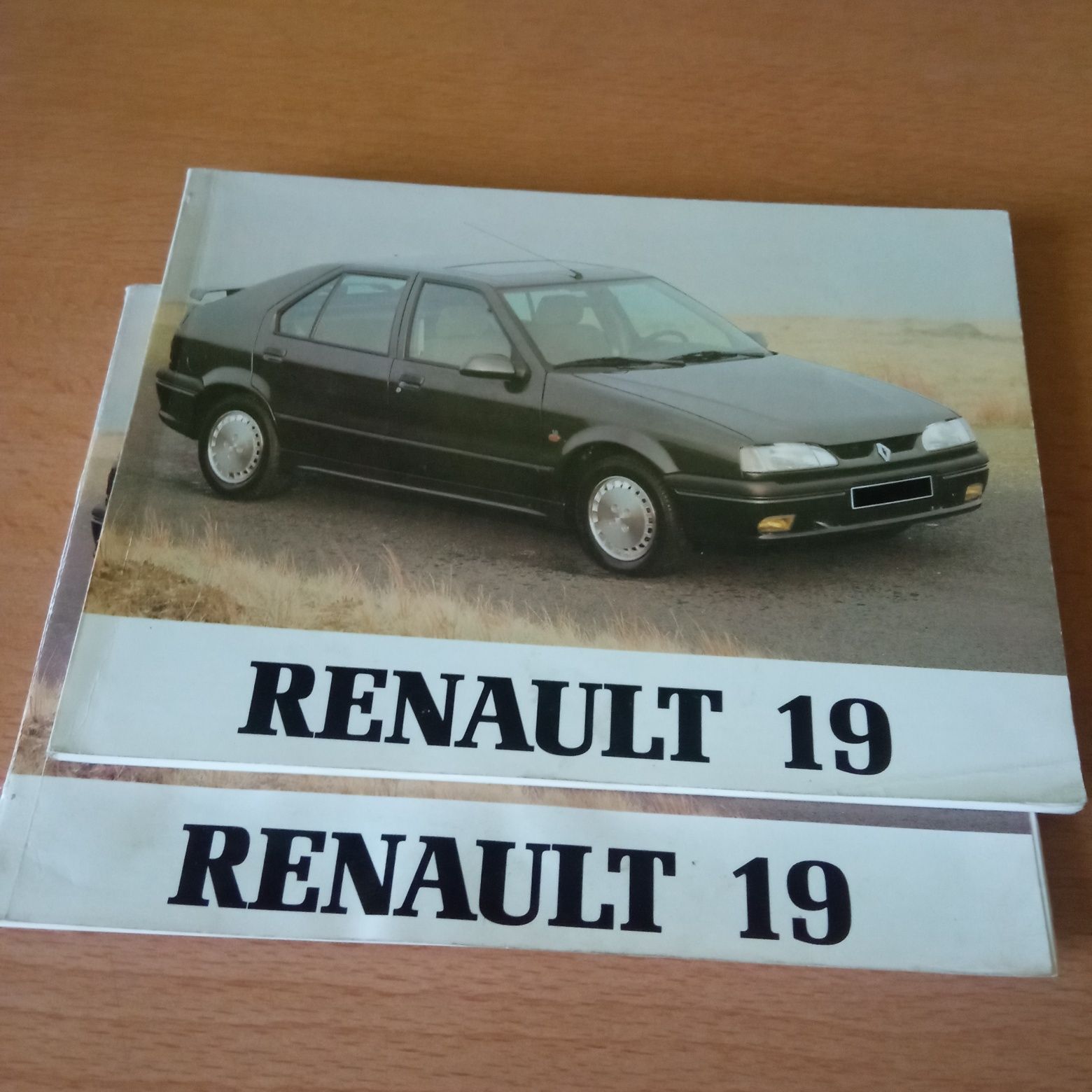 Instrukcja obsługi Renault 19
