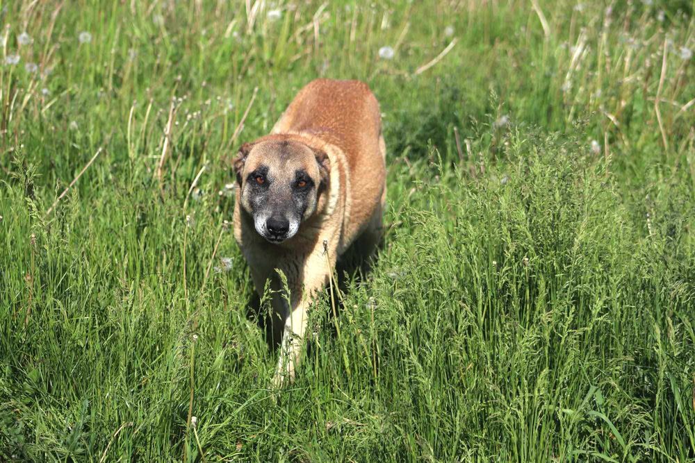 Pokochaj uroczą BALBINKE