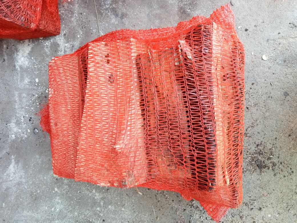 Dąb w worku raszlowym 15L