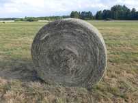 Siano 2024 balot belka 150/120 transport