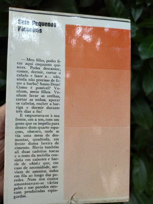 Sete pequenos pioneiros (A. Rutgers Van Der Loeff)