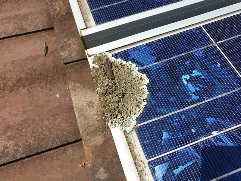 Limpeza automática de painéis solares
