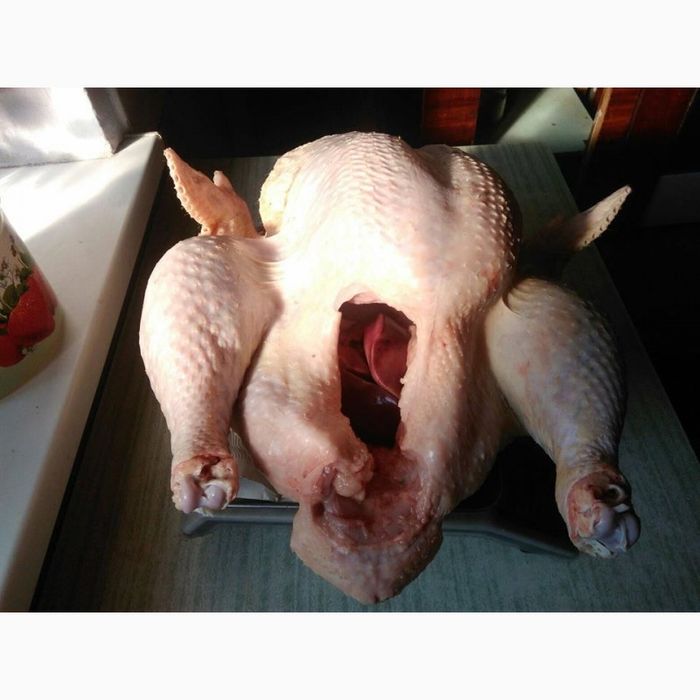 Тушка індика біг 6 (4 міс)