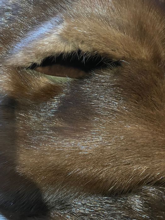 Норковий кожушок Collegio Favori 50-52