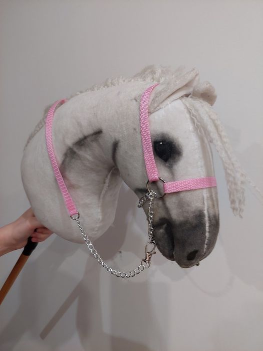 Prezenterka hobby horse