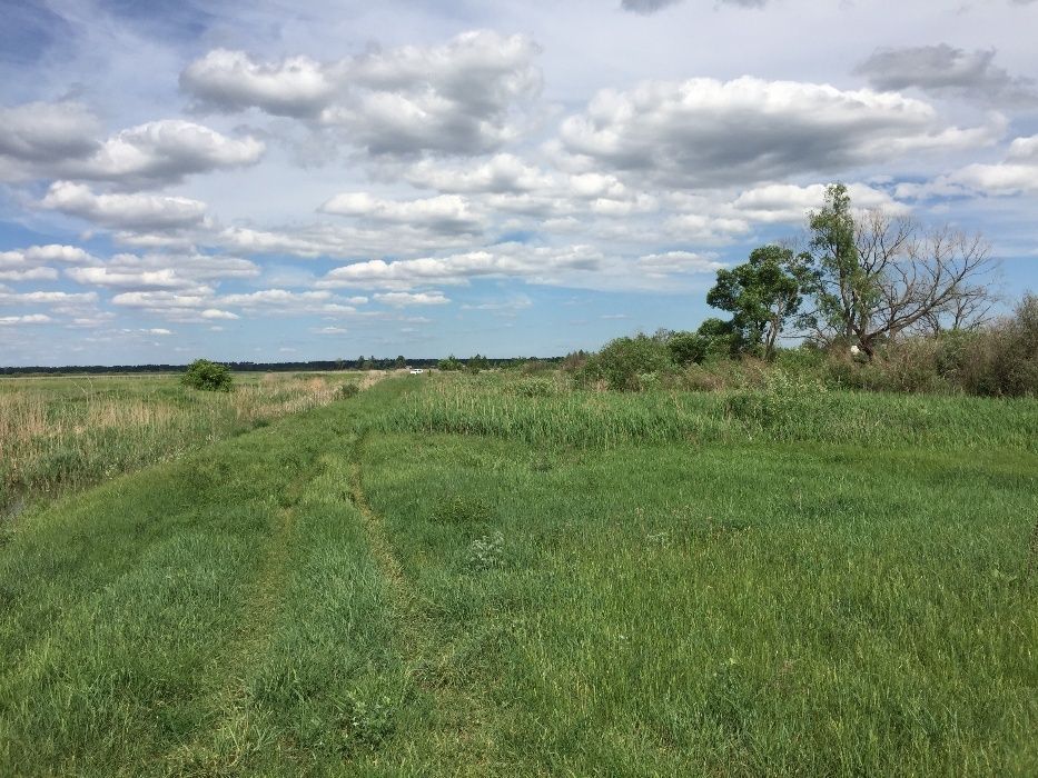 Продаю участок в с. Селичёвка Барышевский район Киевская область.