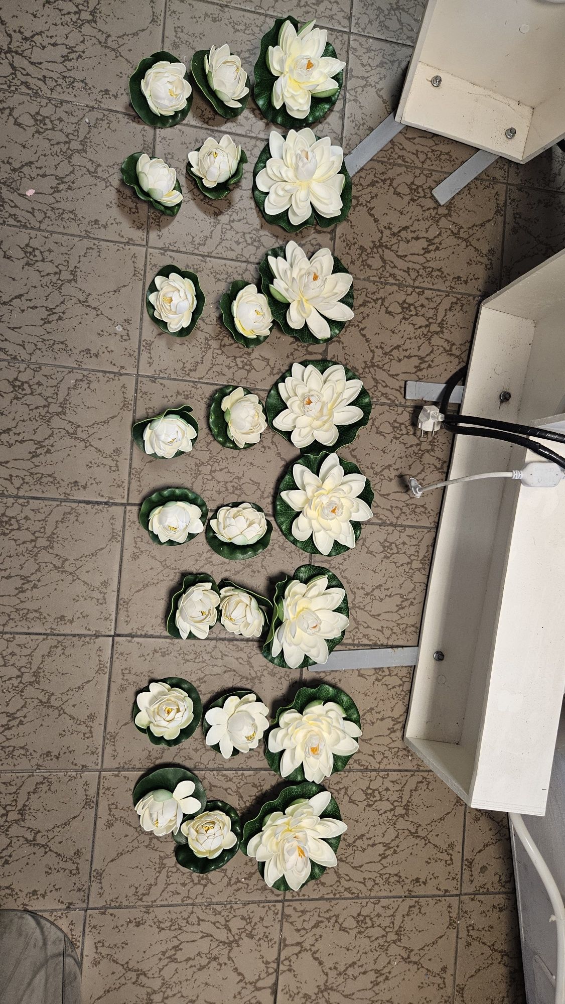 Pływające lilie wodne białe Duże i małe
