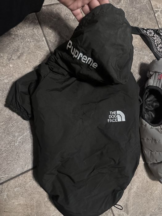 Жилетка комбінезон для француза/мопса М40