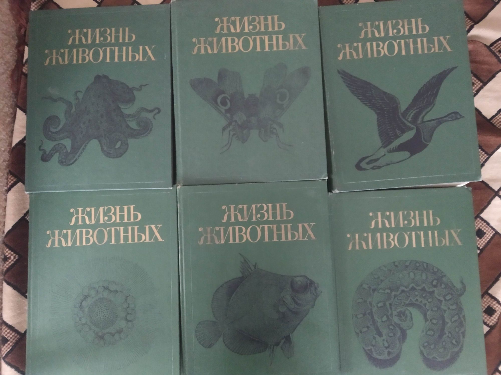 Жизнь животных в 7ми томах

Состояние: Отличное
Год: 1987
Тираж: 300 т
