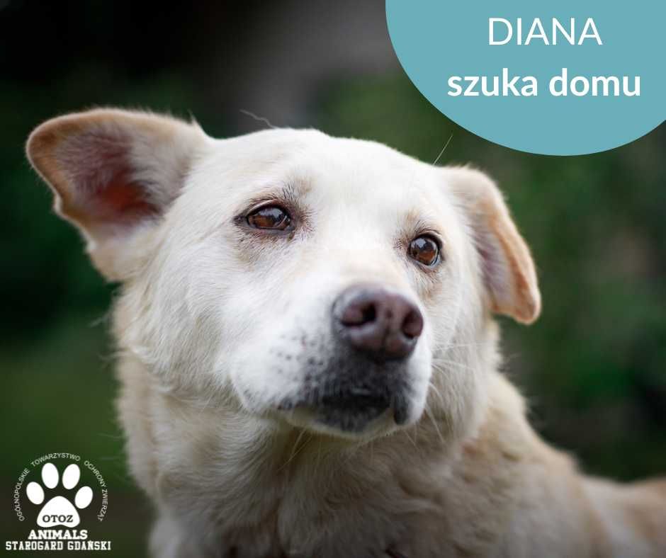 Diana szuka kochajacej rodziny!