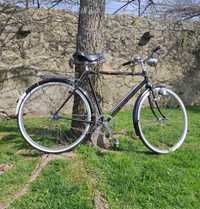 Bicicleta pasteleira Modelo Sport