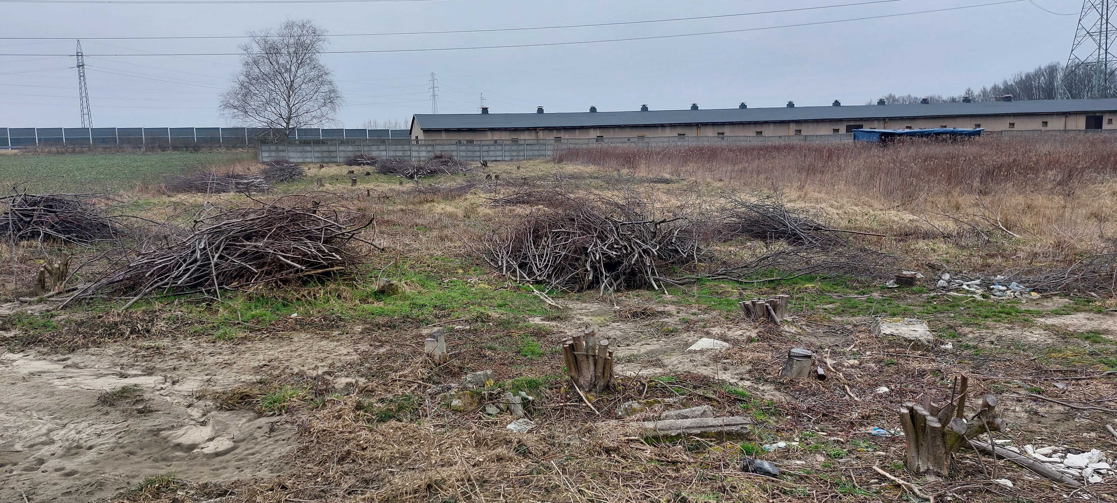 Mulczer Leśny ,wgłębny, przekrusz urobku skalnego rekultywacja gruntu