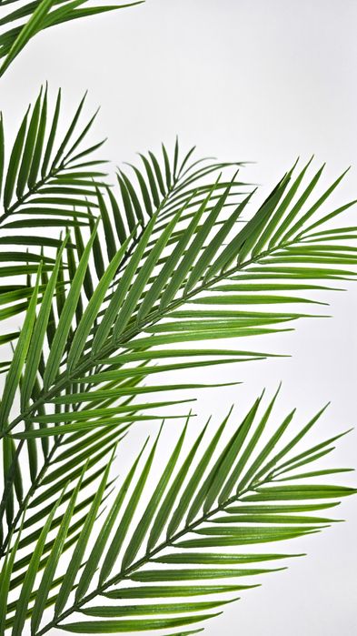 Palma Sztuczna Areka Drzewko Sztuczne Liście Palmy 100 cm
