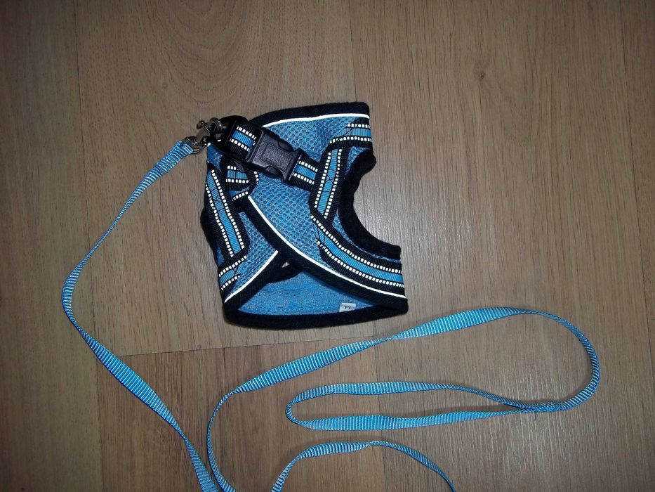 Шлея для собак нова.