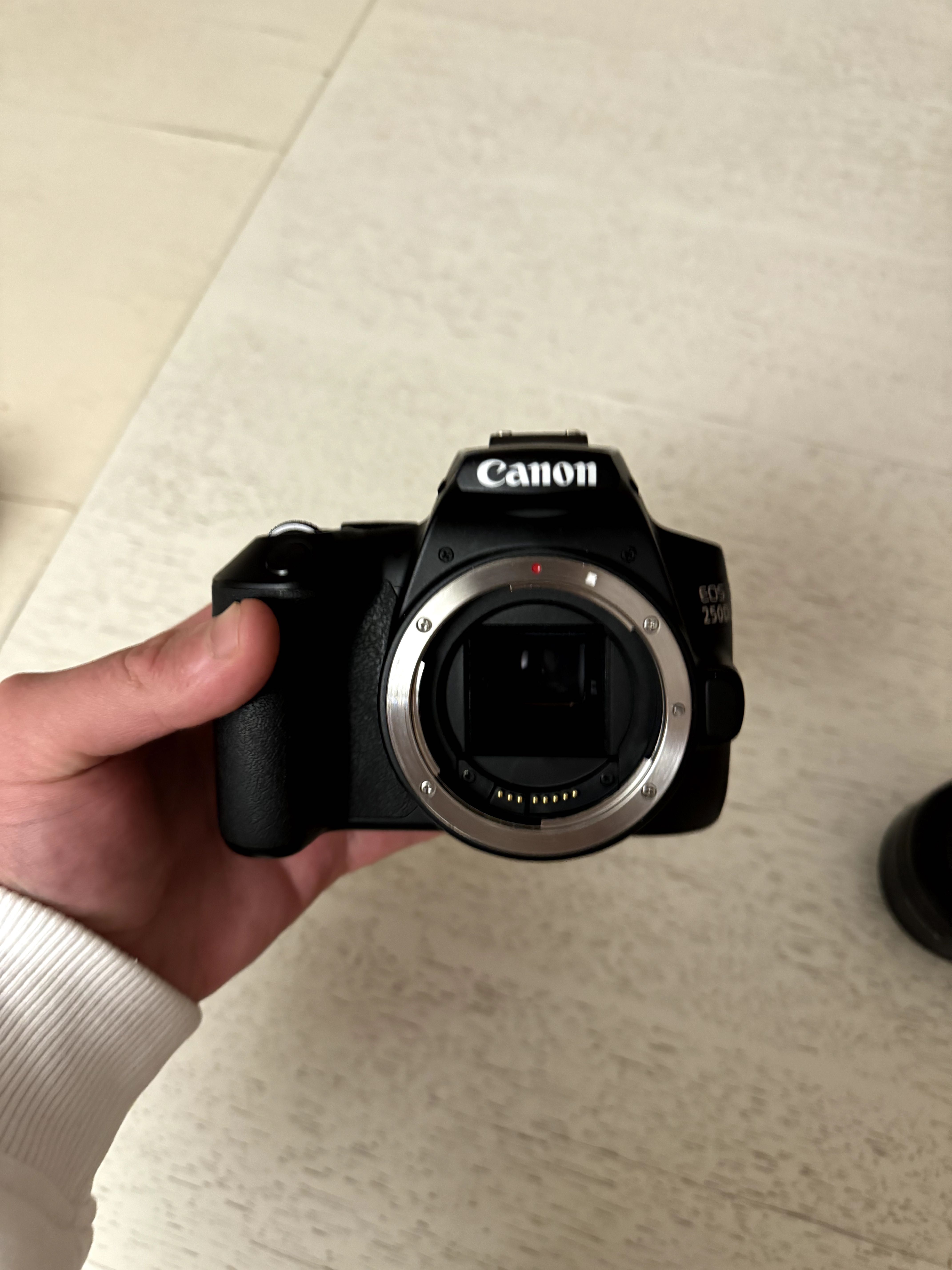 Canon eos 250d, kit 18-55mm f/3.5-5.6, canon ef 50mm f1.8