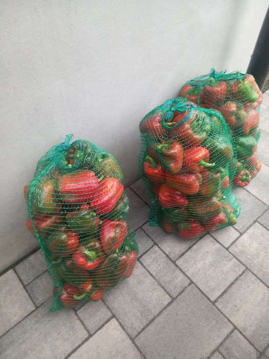 Cebula, brokuł, papryka