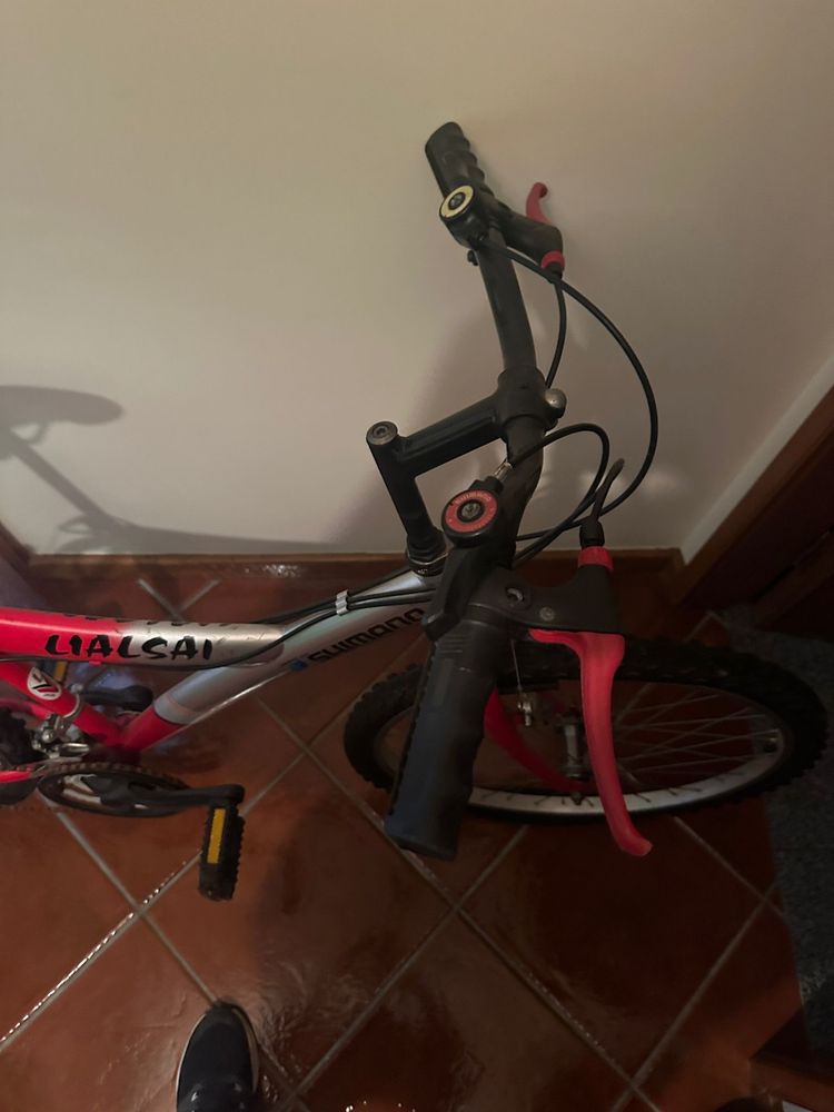 Bicicleta adulto