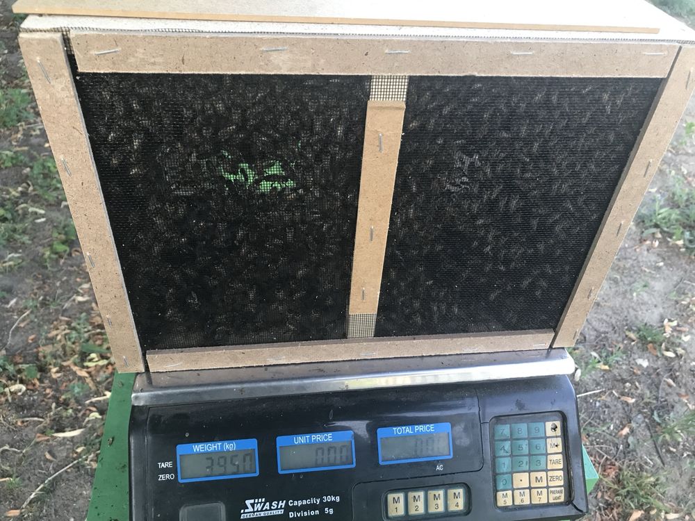 Pakiety pszczele, pszczoły 2024, pasieka, ule