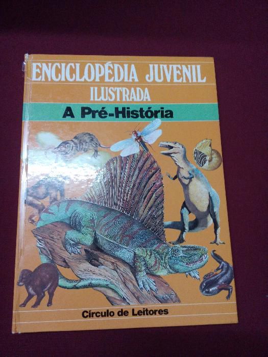 enciclopédia juvenil ilustrada " a pré historia"