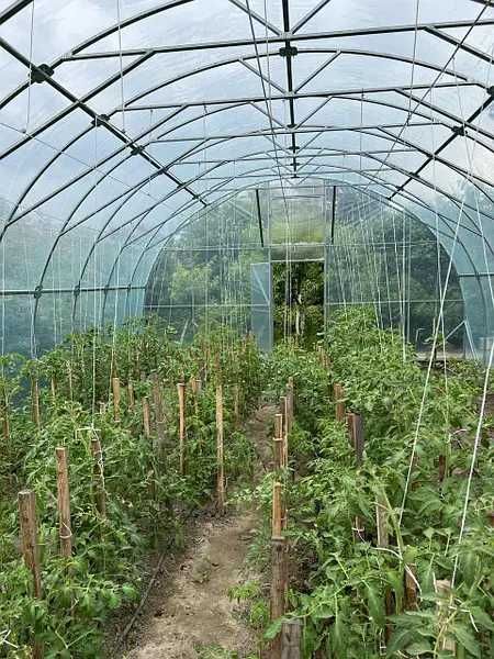 Полікарбонат в наявності сотовий і монолітний. Доставка.