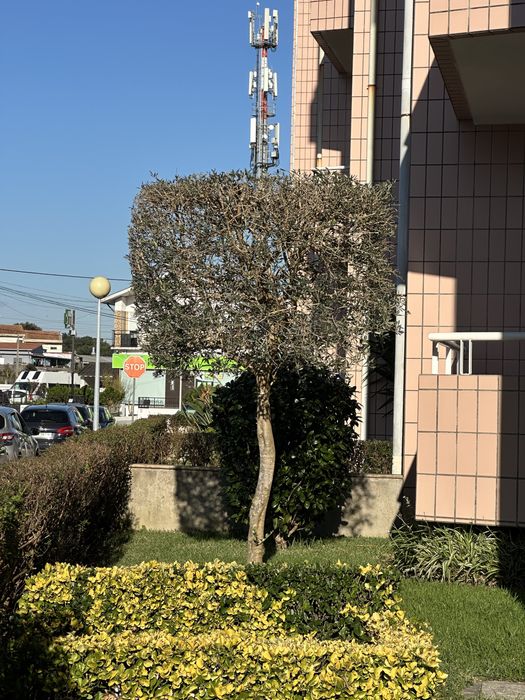 Lugar garagem | automóvel grande| prédio habitacional