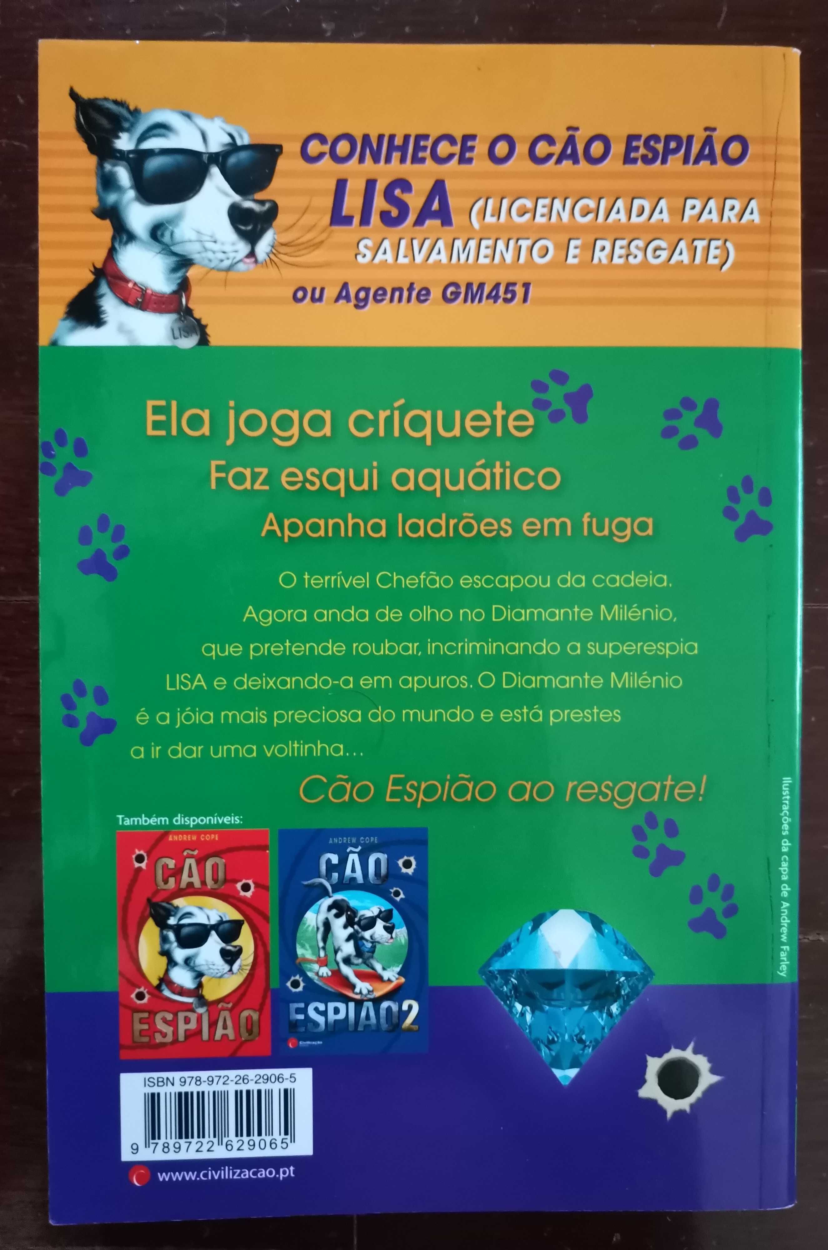 Lote de livros os primos/cão espião/Jack Sparrow/Phineas e Ferb