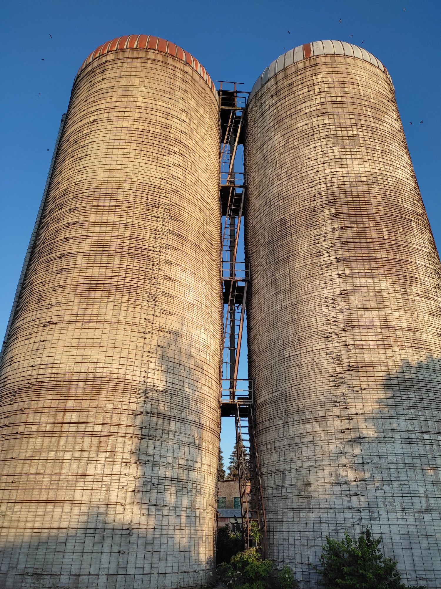 Сінажні башні,на 4000 тонн зерна під розборку.