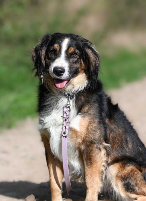 Aleks wleczony za autem szuka domu