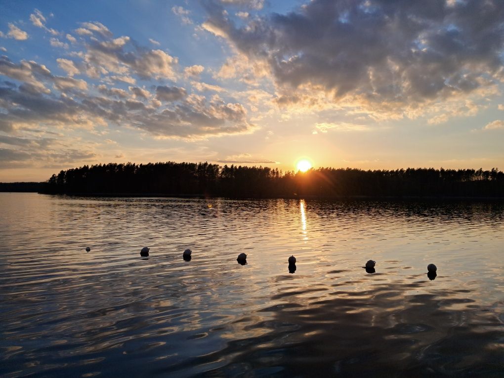 "Brzozówka" domek letniskowy Makowo k.Iławy jezioro Mazury, las