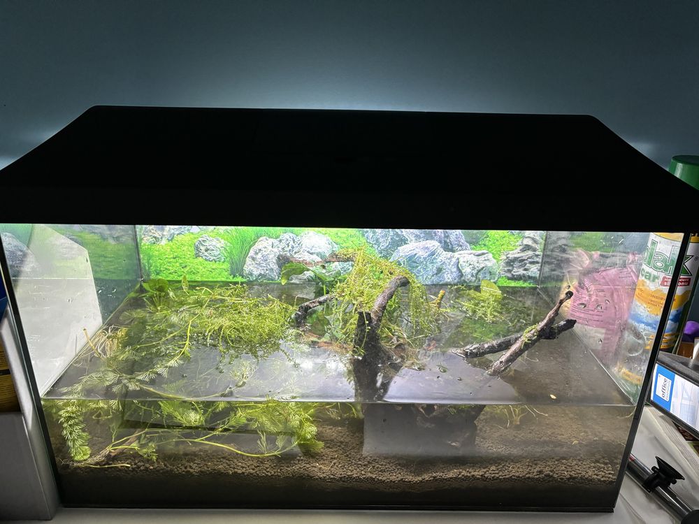 Akwarium 60x30 aquael