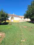 Quinta  com citrinos. 22 ha