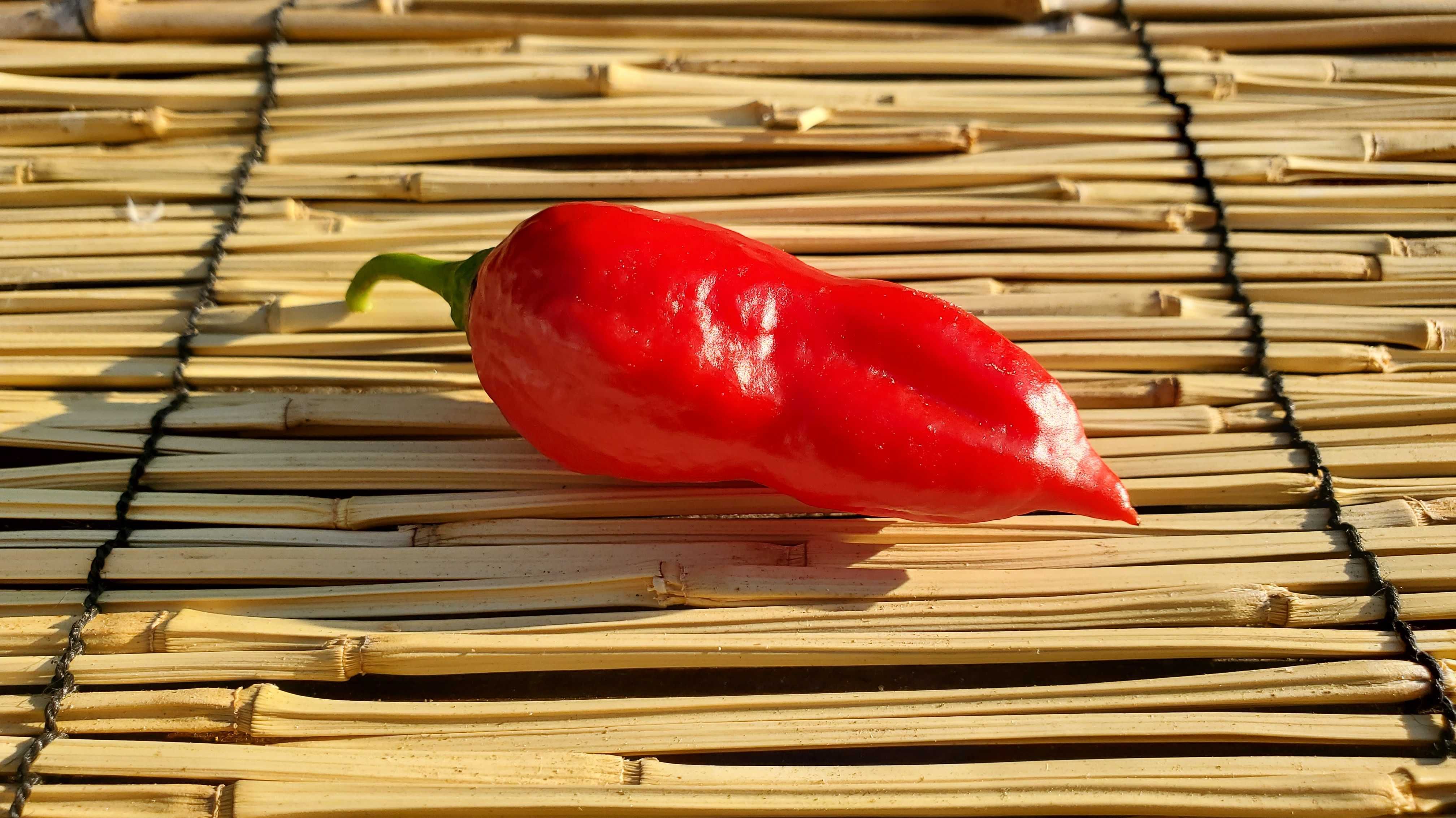 Насіння гострого перцю (Carolina Reaper, Habanero, Jalapeno та інші)