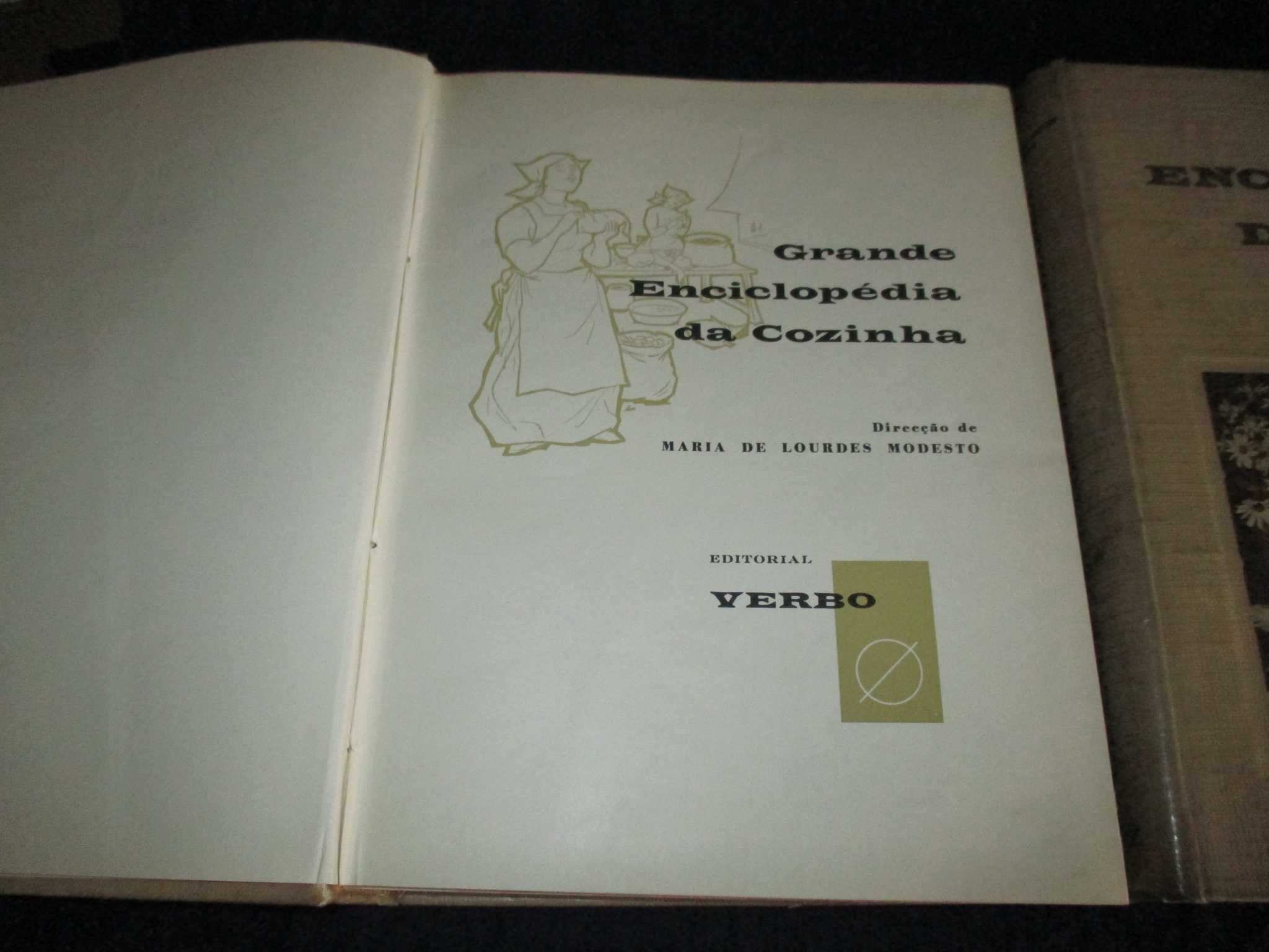 Livros Grande Enciclopédia da Cozinha Maria de Lourdes Modesto