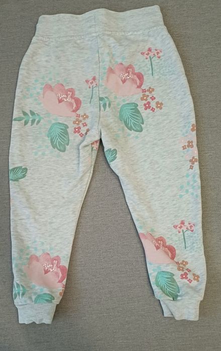 Костюм прогулягковий світшот+ штани на дівчинку 2-3 роки