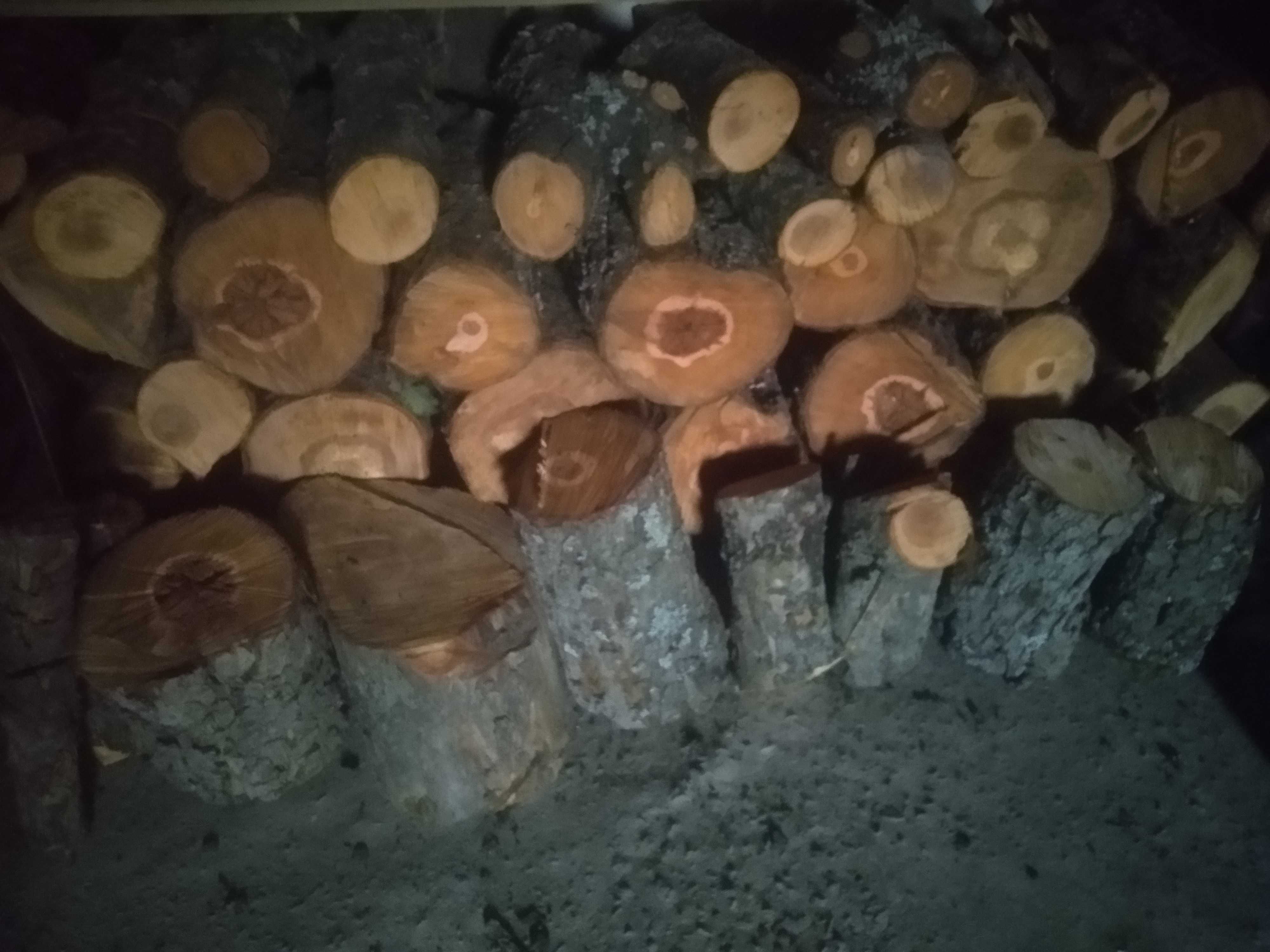 Продам дрова  косточковые