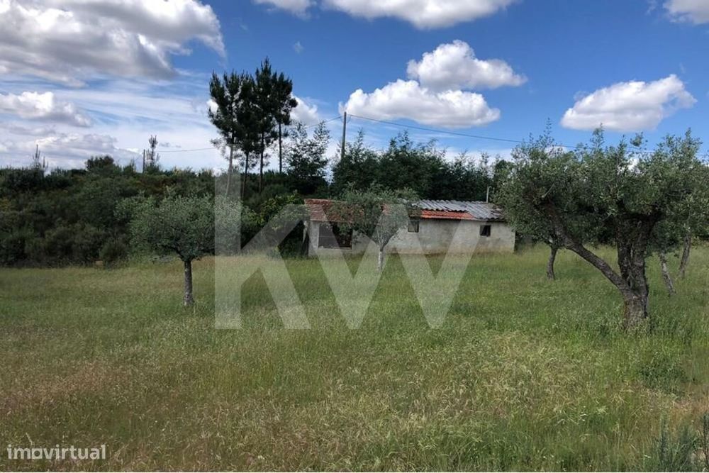 Terreno agrícola com Casa de arrumos para reconstrução | Bom acesso