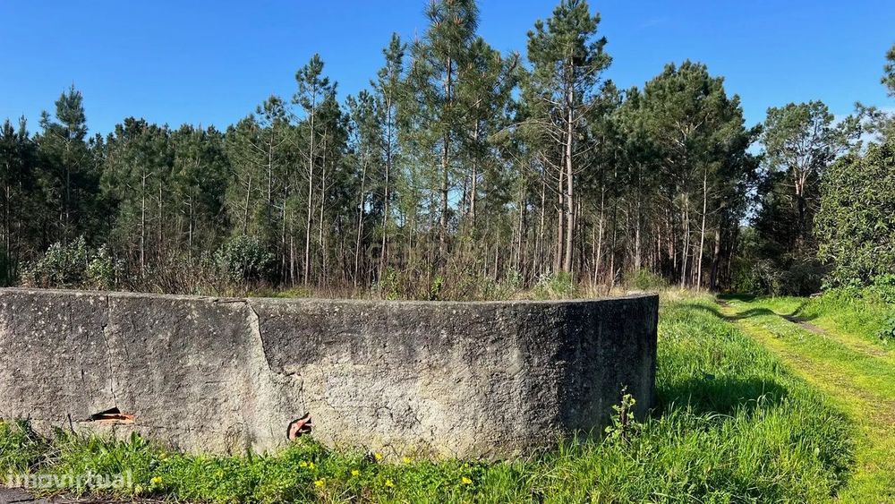 Terreno Rustico/Urbano com 11.000 m2