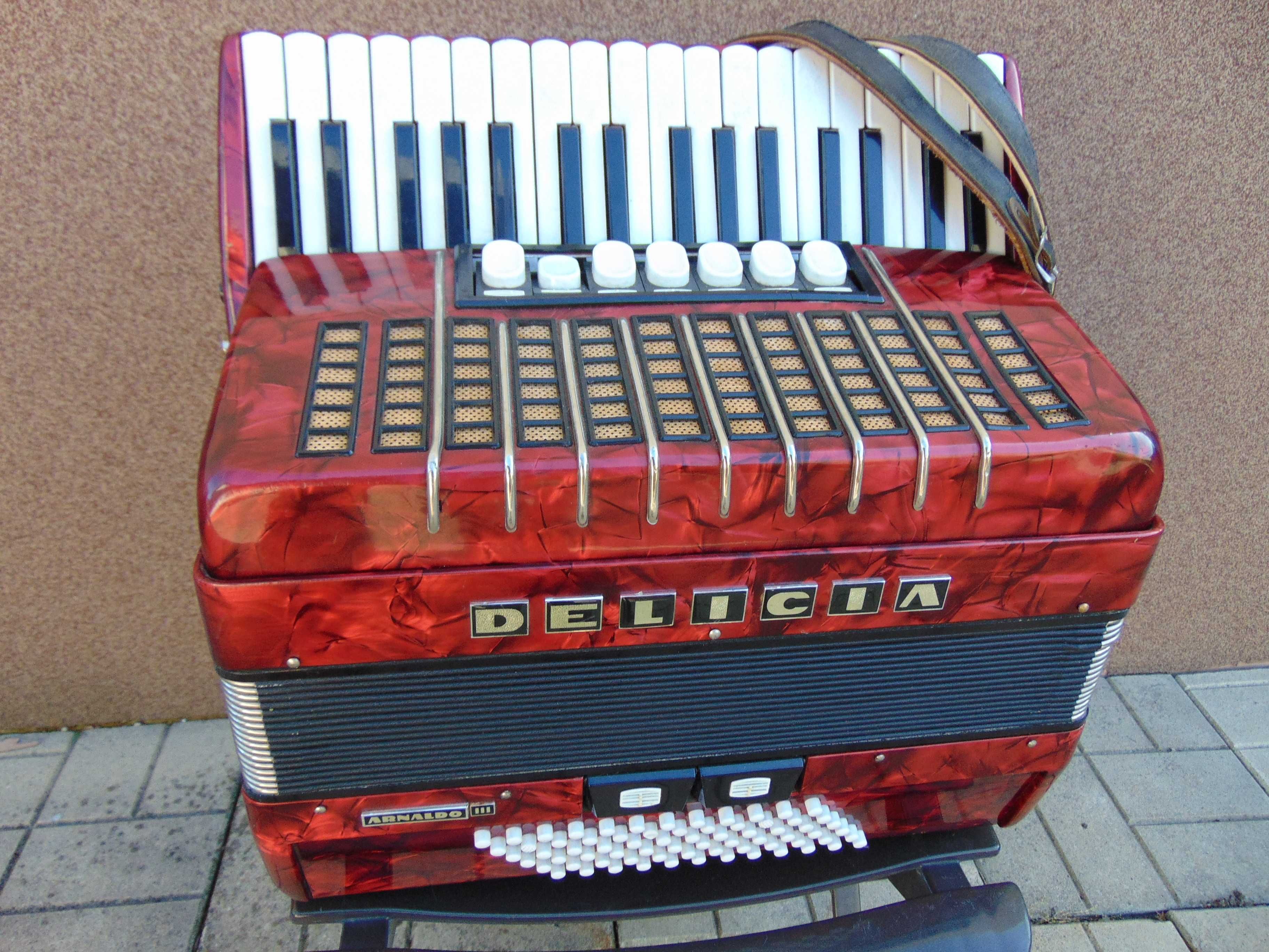 Akordeon Delicja