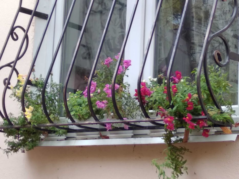 Семена Ротиков (Львиный зев) микс цветов