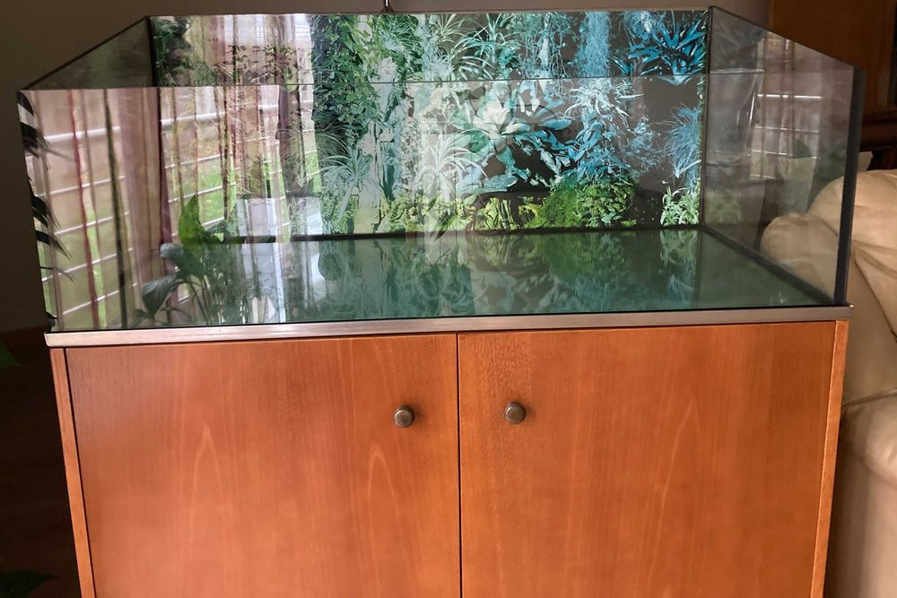 Aquario com móvel de suporte