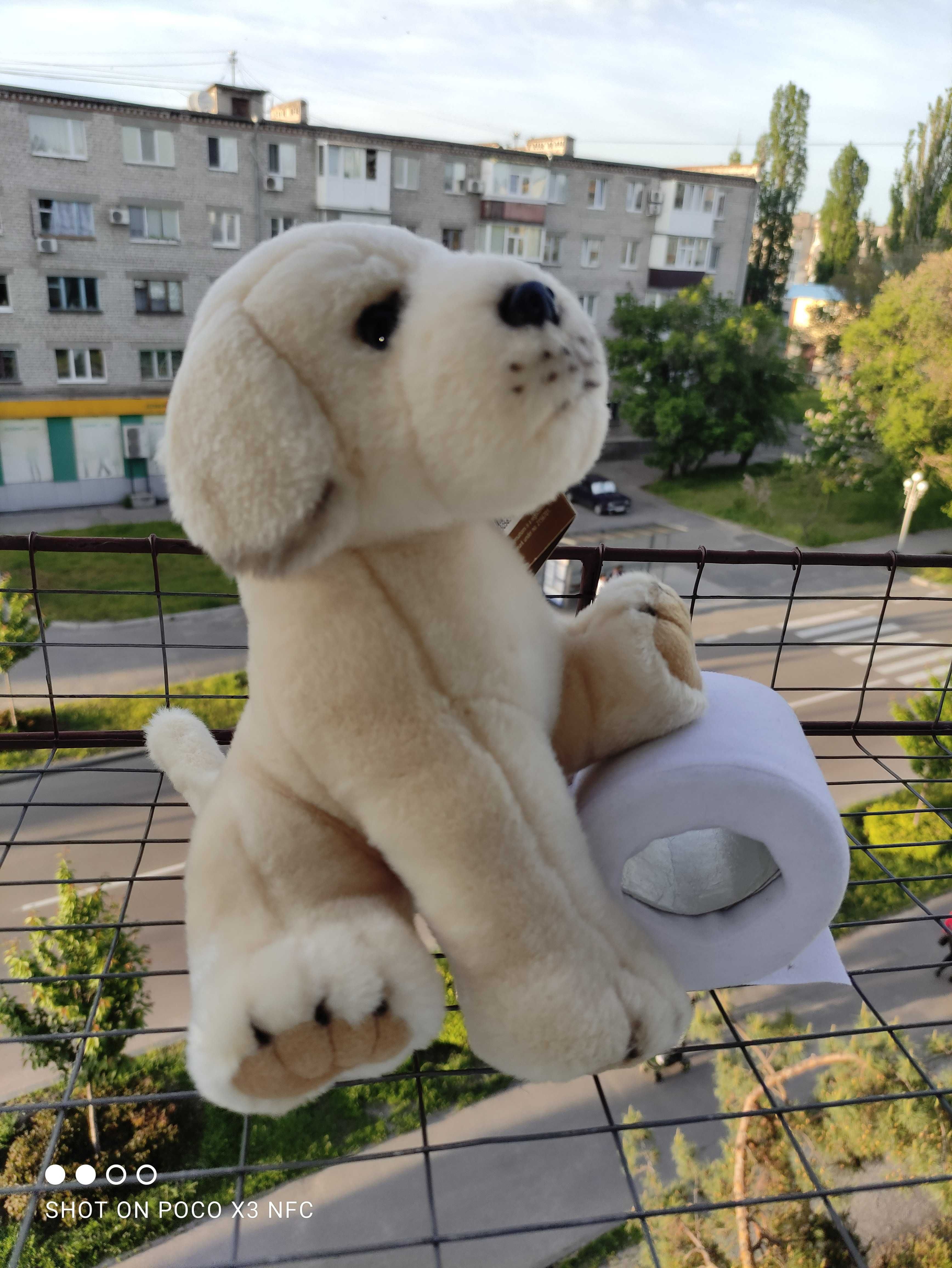 Мягкая игрушка щенок Лабрадор с рулоном туалетной бумаги 25 см
