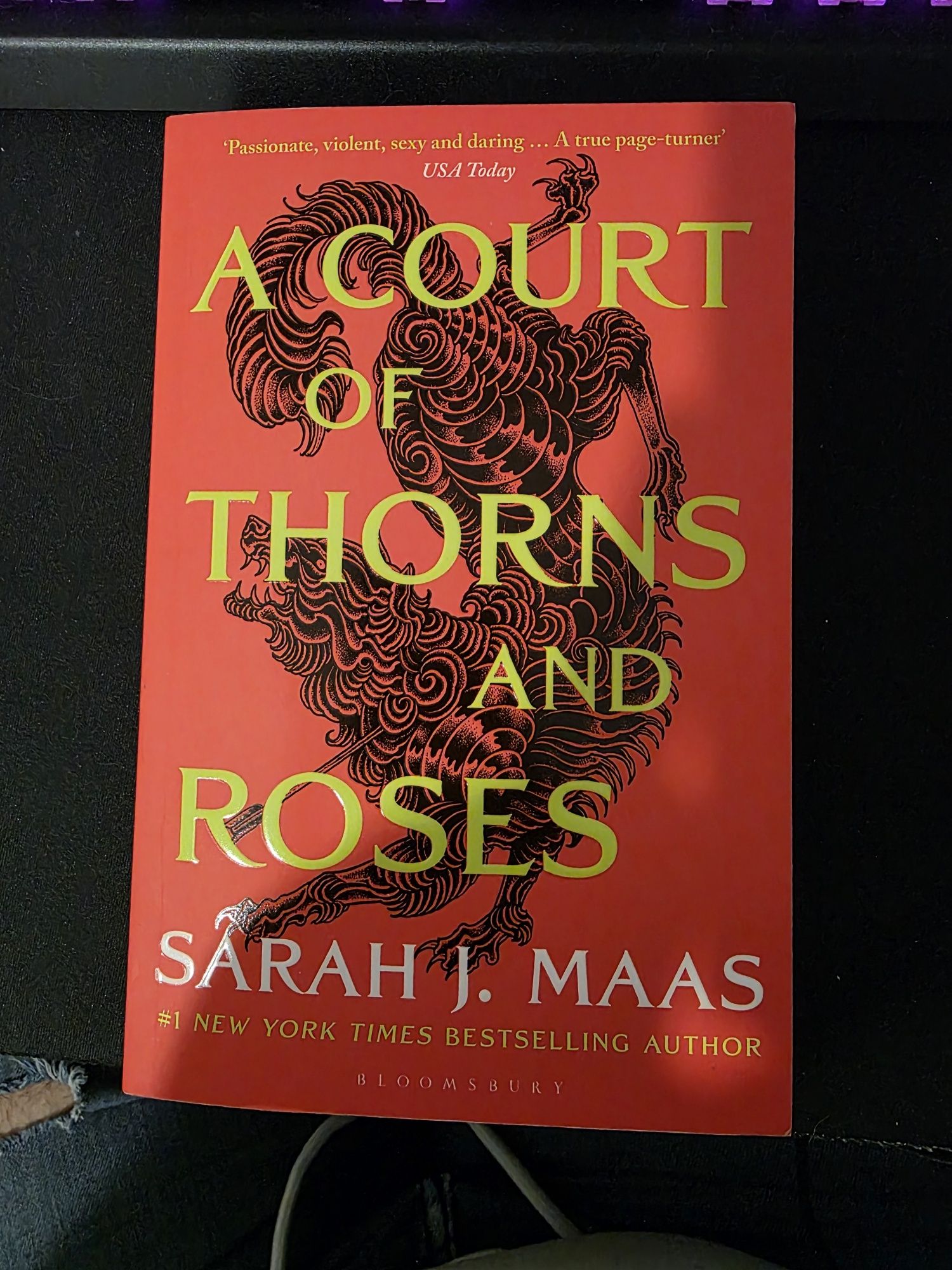 Livro de bolso Inglês - A court or Thorns and Roses