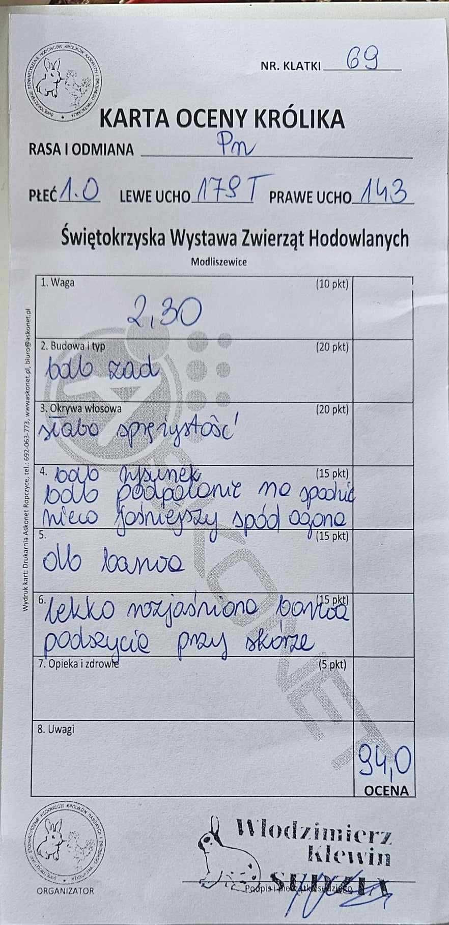 Króliki niebieskie podpalane