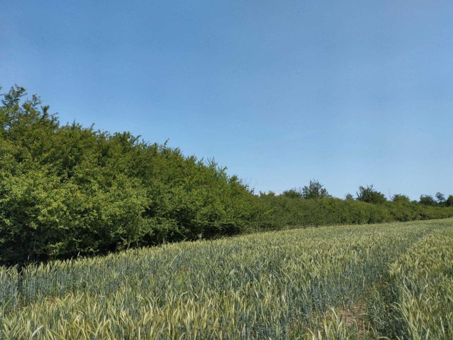 Tarnina do tężni Różne DLUGOSCI I ŚREDNICE hUrt