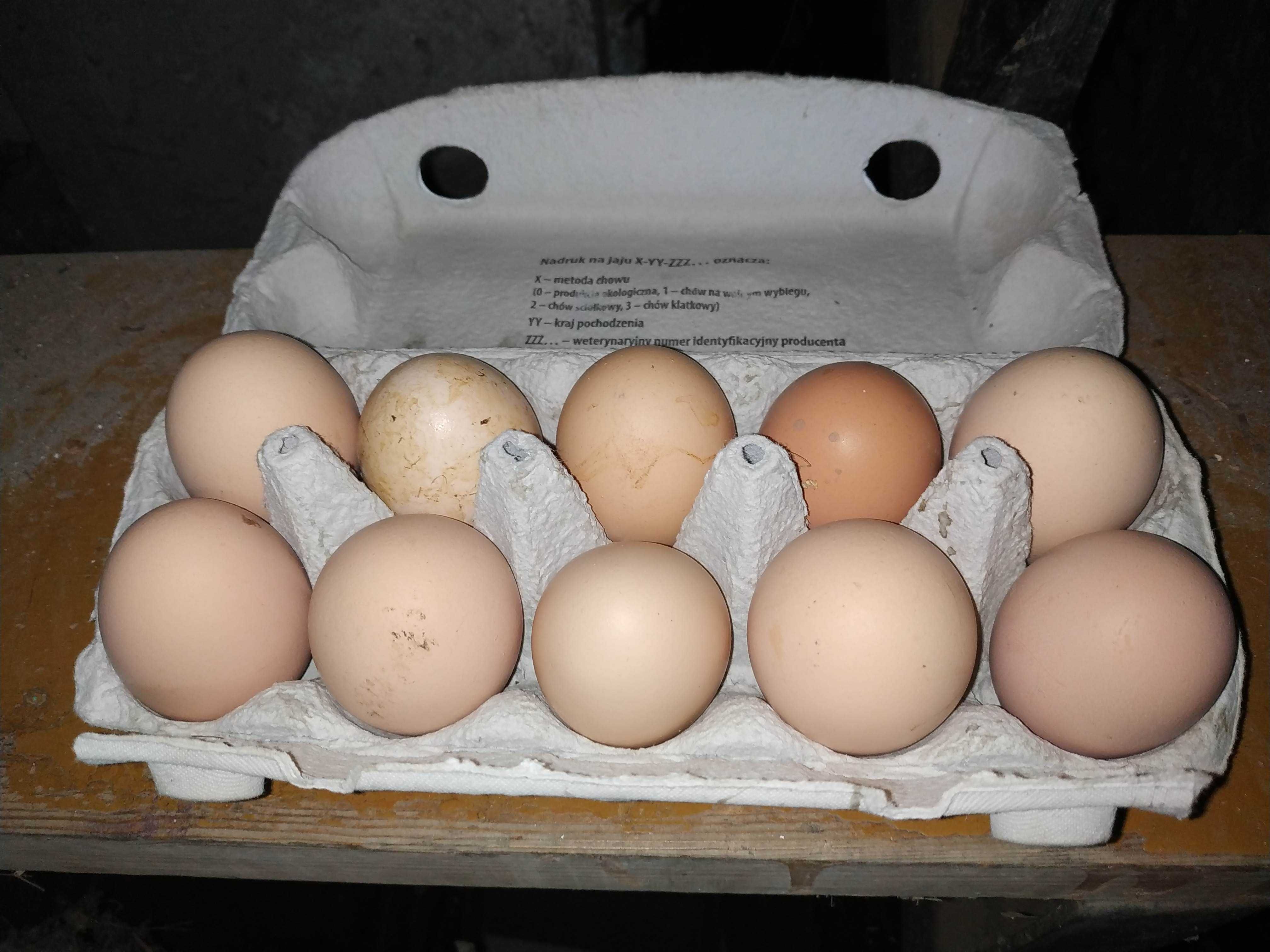 Jajka wiejskie od kur - chowane dla swoich potrzeb