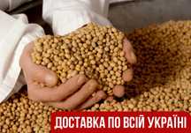 Насіння сої. Соя Оптом від 24 тонн! ТОП ЯКІСТЬ!
