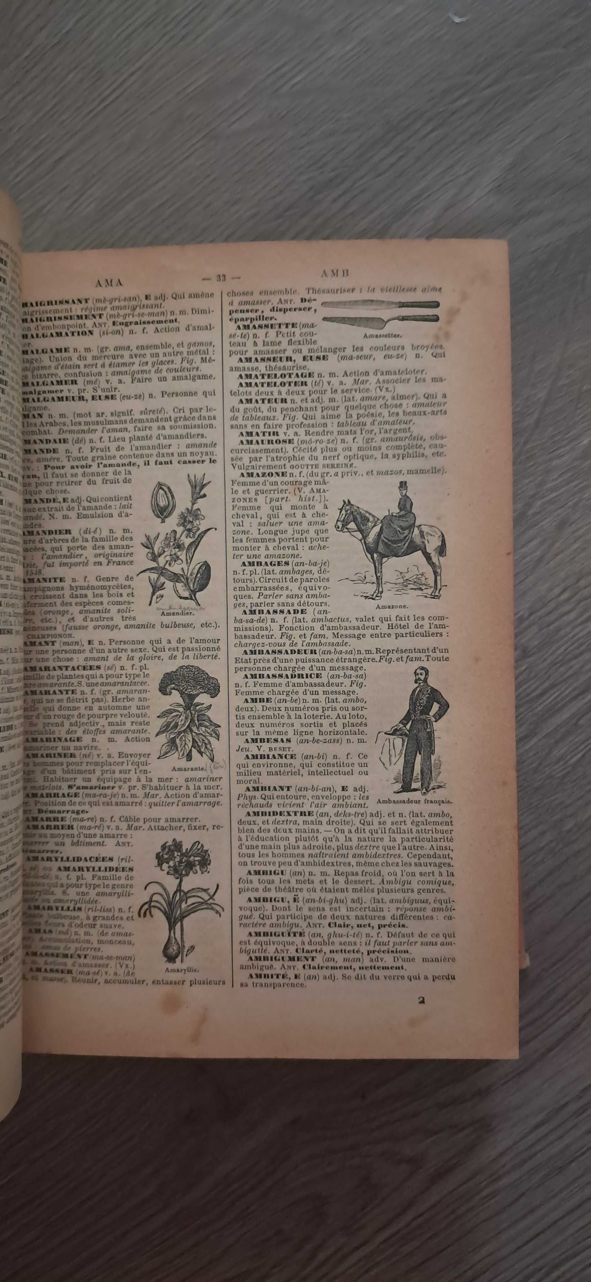 Dicionário de francês Petit Larousse Illustré com imagens